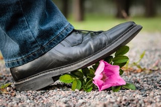 iStock_000022162782_Large.jpg